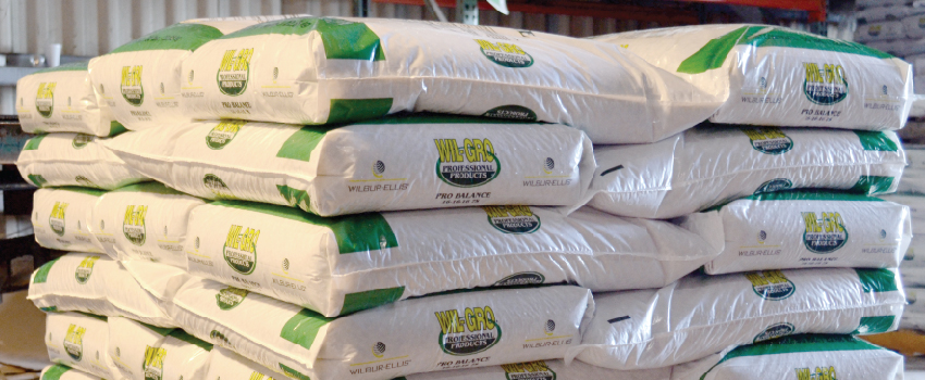 Biaxially Oriented Polypropylene bags